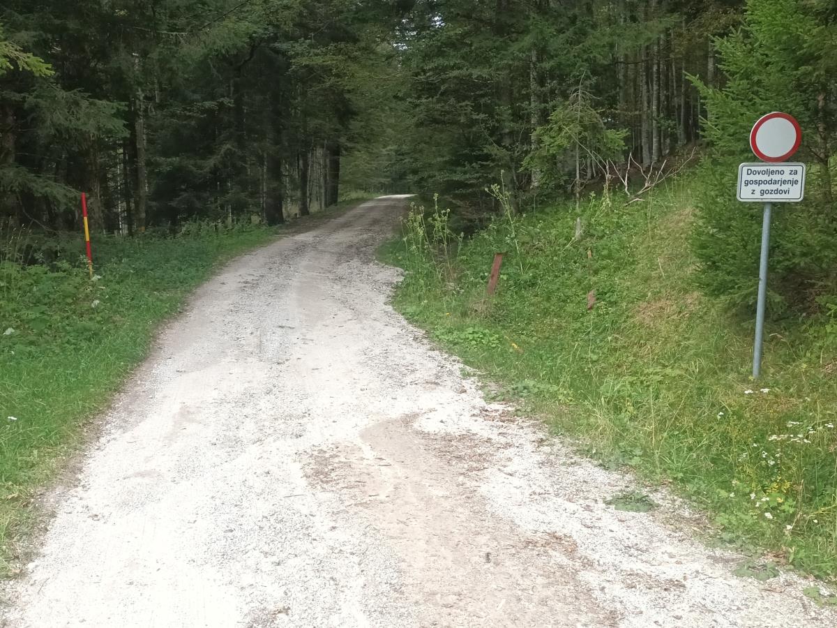 Prometna signalizacija na gozdni cesti, ki označuje prepoved voženj za ves promet, razen za gospodarjenje z gozdovi